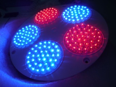 10X led hydroponic grow light lamp mix red blue flower