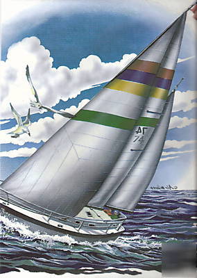 Nine- stripe sail sailboat transfers 11.5