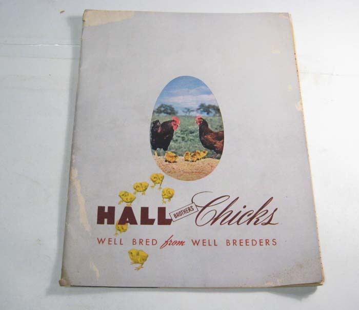 1951 hall brothers chicks poultry catalog nice pictures