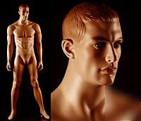 Full body mannequin amt male mannequin - mat