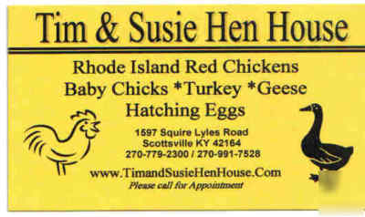 24 + 2 extra rhode island red hatching eggs (guarantee)