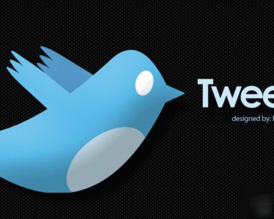  ***twitter update box widget website for sale *