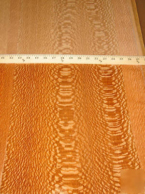 Australian lacewood wood veneer 12