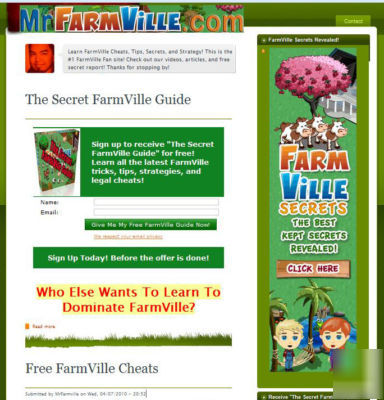 Mrfarmville.com-profitable niche-$1,093/month-8K-list