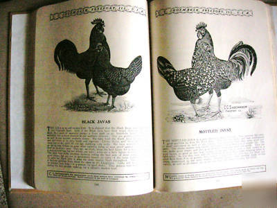 1906 c.c. shoemaker poultry almanac & catalog rare