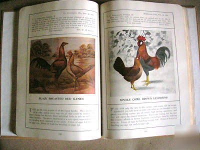 1906 c.c. shoemaker poultry almanac & catalog rare