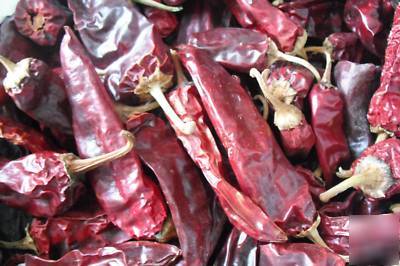 New mexico sun dried red chile (chili) pepper pods hot