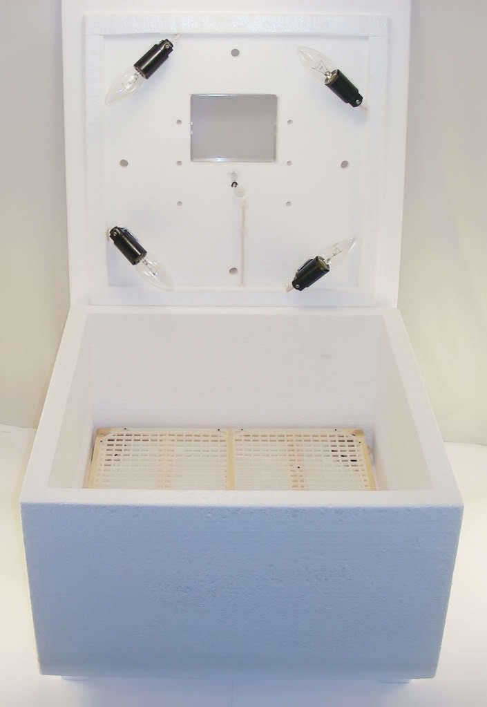 Incubator electro-mechanical thermoregulator 60-90 eggs
