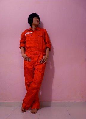 Dickies ladies boiler suit in tulip red size 8