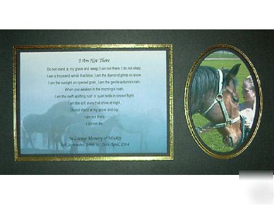 Pet memorial: i am not there 