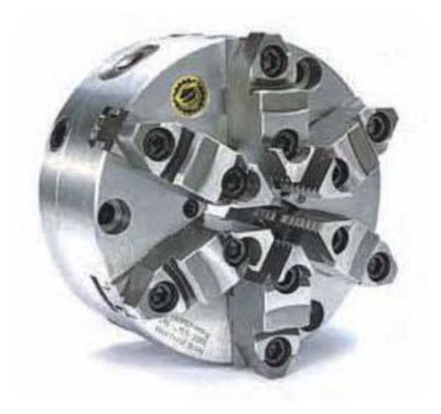 Bison 12