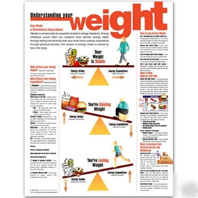 Understanding your weight anatomical chart/poster