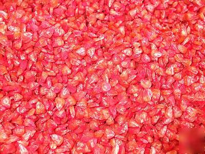 Bodacious sweet corn seed 1/2 lbs. pack
