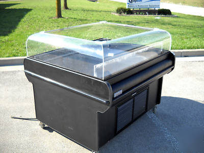 Southern store fixture refrigerated island merchandiser