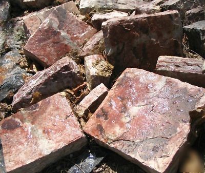 Rare lot mason hand cut mountain bacon building stones 