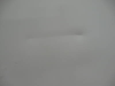 2-door true freezer model gdm-49F