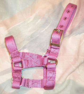 New llama, alpaca, goat, sheep halter- dusty pink- -tack