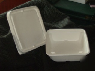 Biodegradable large bagasse box with lid