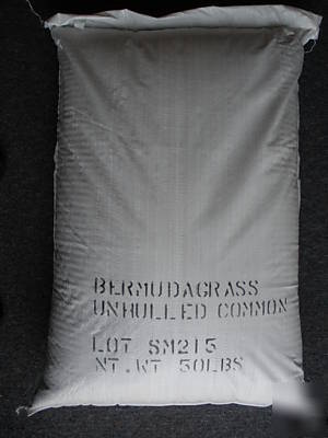 Bermuda grass seed 