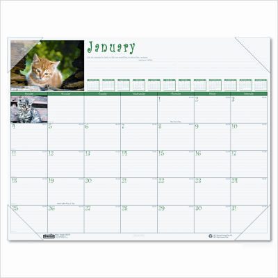 Earthscapes kittens monthly desk pad calendar, 22 x 17
