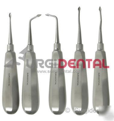 5 syndesmotome set elevators dental instruments premium