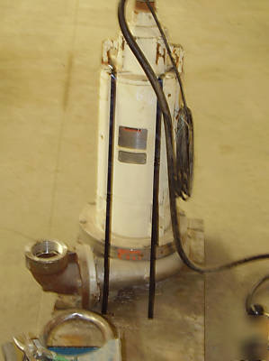 Nuclear grade submersible pump crane deming