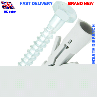 Rawlplug 8MM x 60MM coachscrew & 10MM nylon wall plug