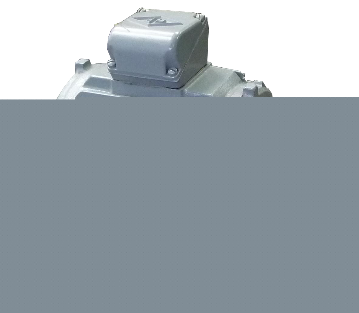 Reuland A000 3-hp 3-phase 3600-rpm 230/460-volts motor 