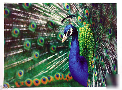  konica minolta CF2002 color copier print scan 47K 2002