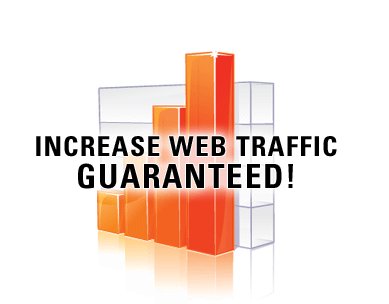 1000 quality best traffic for website web visitorsales