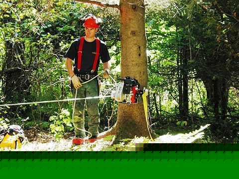 New honda capstan winch + forestry kit- from factory 2 u