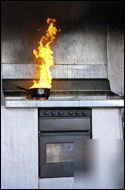 Fire extinguisher in a can ( fire-gone ) protection now