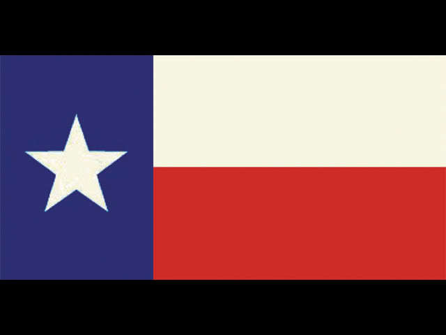 VN092 texas flag cowboy bar pub banner sign