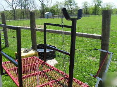 Goat sheep fitting milking hoof trimming stand lift 32