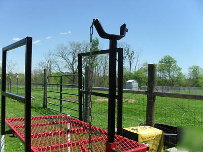 Goat sheep fitting milking hoof trimming stand lift 32