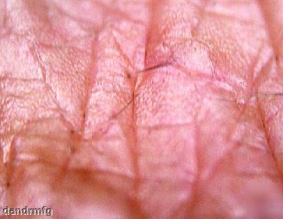 40X macro kit fuji finepix E900 9 mega pixel digital