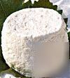 Fresh goat cheese making kit includes chevre culture