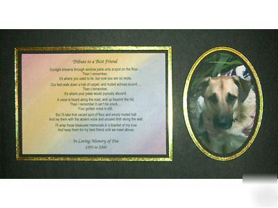 Pet memorial: tribute to a best friend 